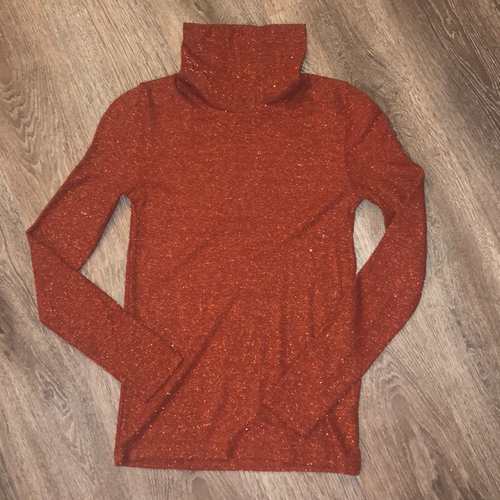 Brand New Madewell Turtleneck